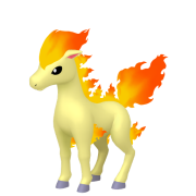 ponyta 0 قائمة